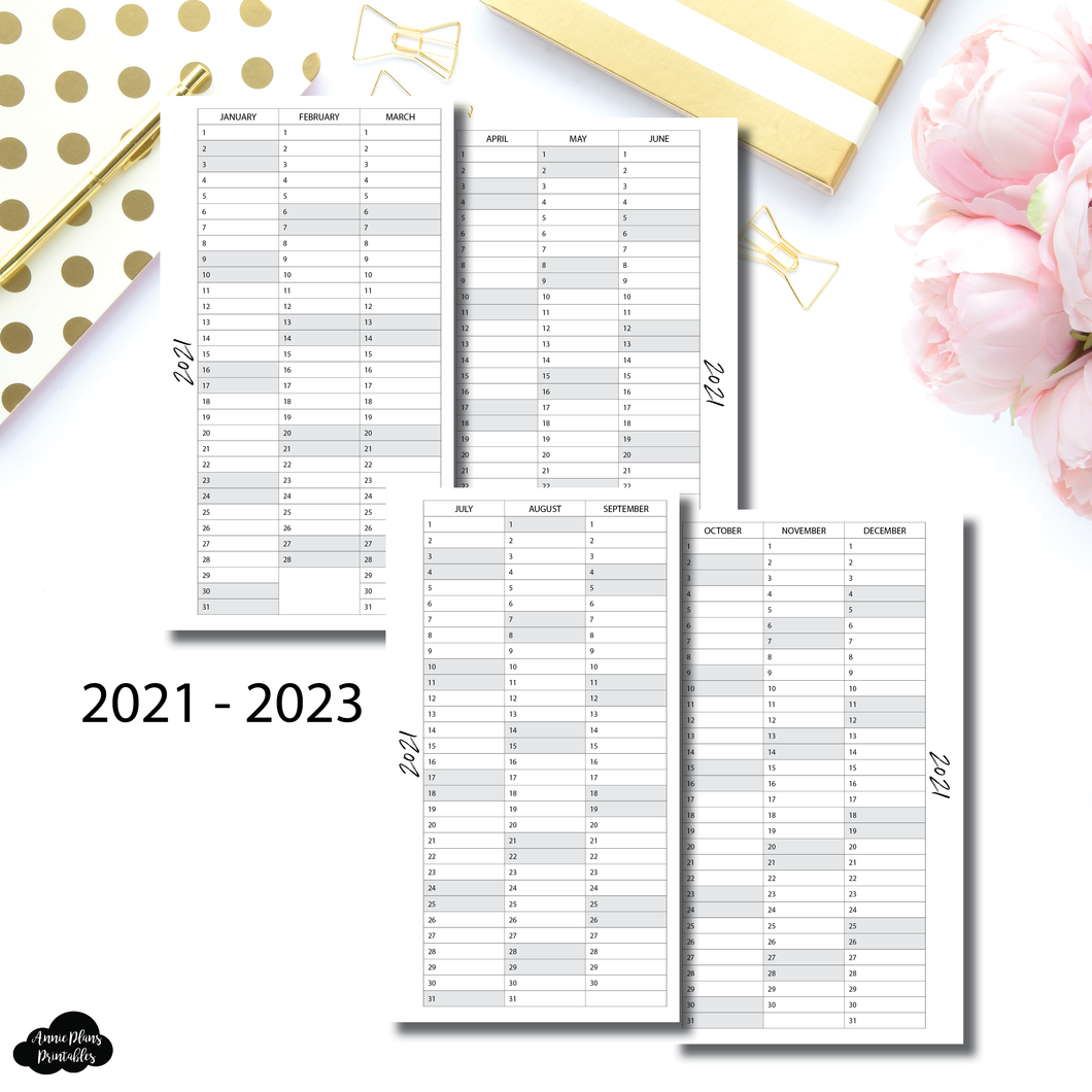 Half Letter Rings Size | 2021 - 2023 Important Dates Printable Insert