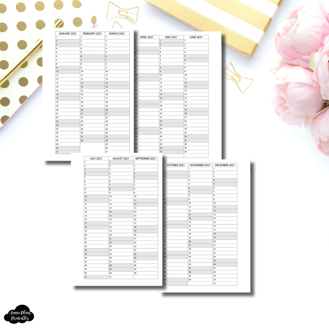 Pocket Plus Rings Size | 2021 - 2023 Important Dates Printable Insert